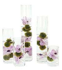 CYLINDER VASES