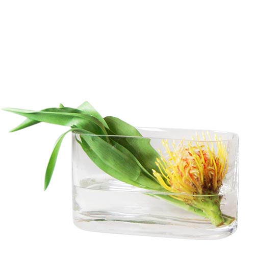 Jumbo Rectangle Vase. H-8", Pack of 4 pcs