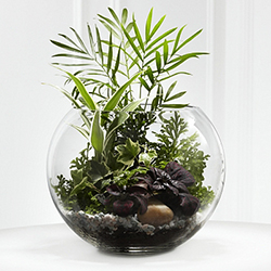 Wholesale Bubble Bowl Vase
