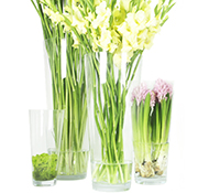 Wholesale Taper Donw Cylinder Vase